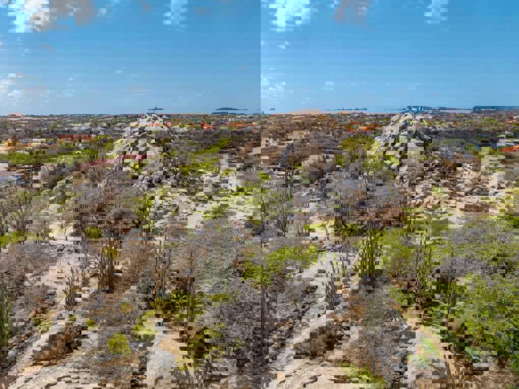 Aruba-Magazine-90-scaled